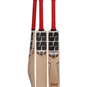 SS Professional English Willow Bat